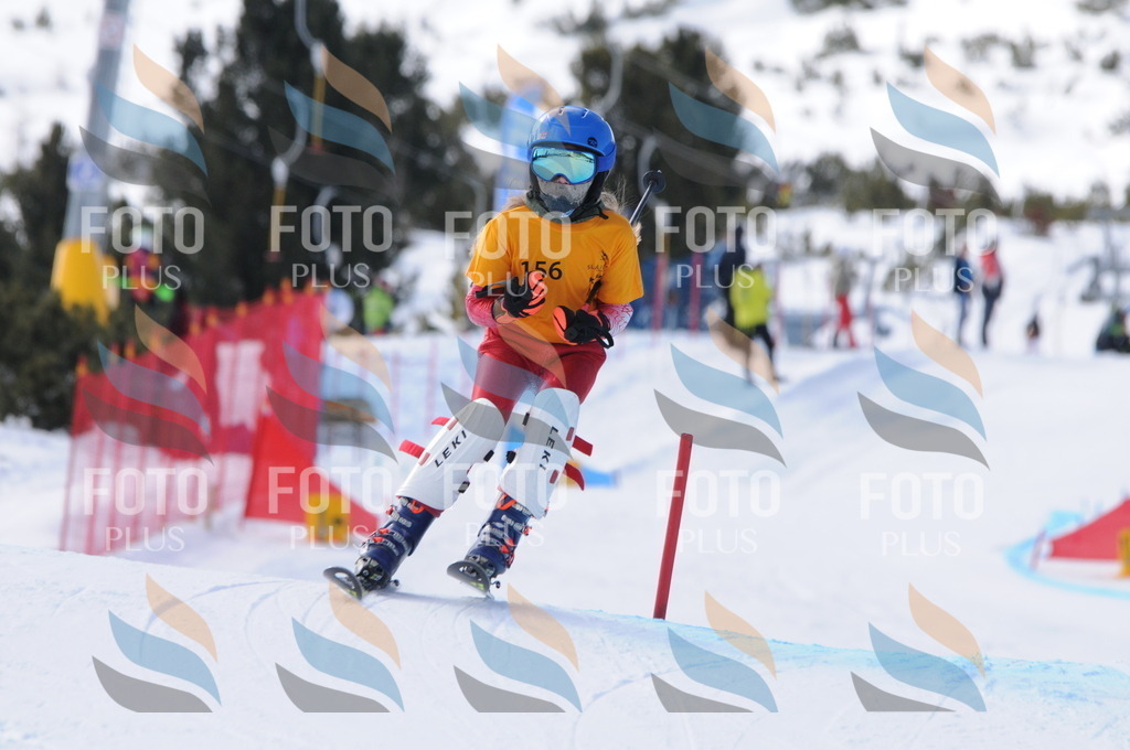 C7319 | holidayphoto