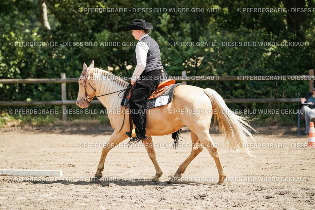 DSC06969 | Pferdegrafie