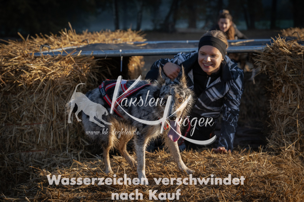 0919_ZZ92354 | kk-dogfotos
