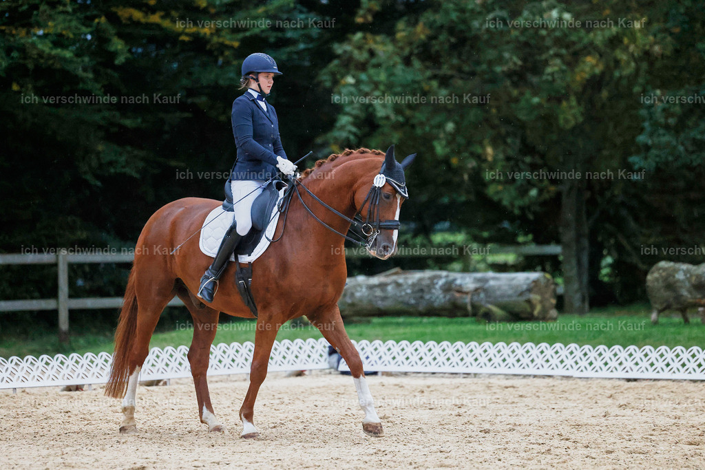 04_2-177-Dressur M__ -StoibPH-3023 | working equitationturnier fotograf videograf stoibphotography marixx film working equitation deutschland reitsport turnierfotografie eventfotografie equestrian events