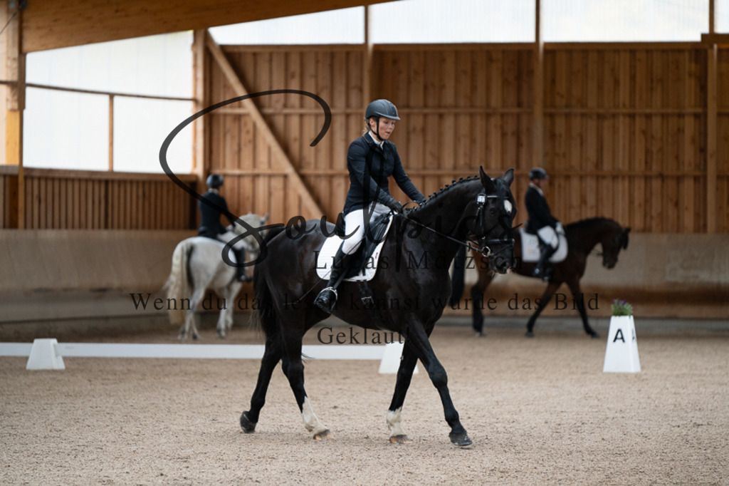 A7V02239 | Pferdefotograf