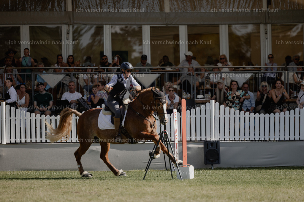 WE_MOS_Stoib_323_PI2025_2291 | Pferd International München 2025