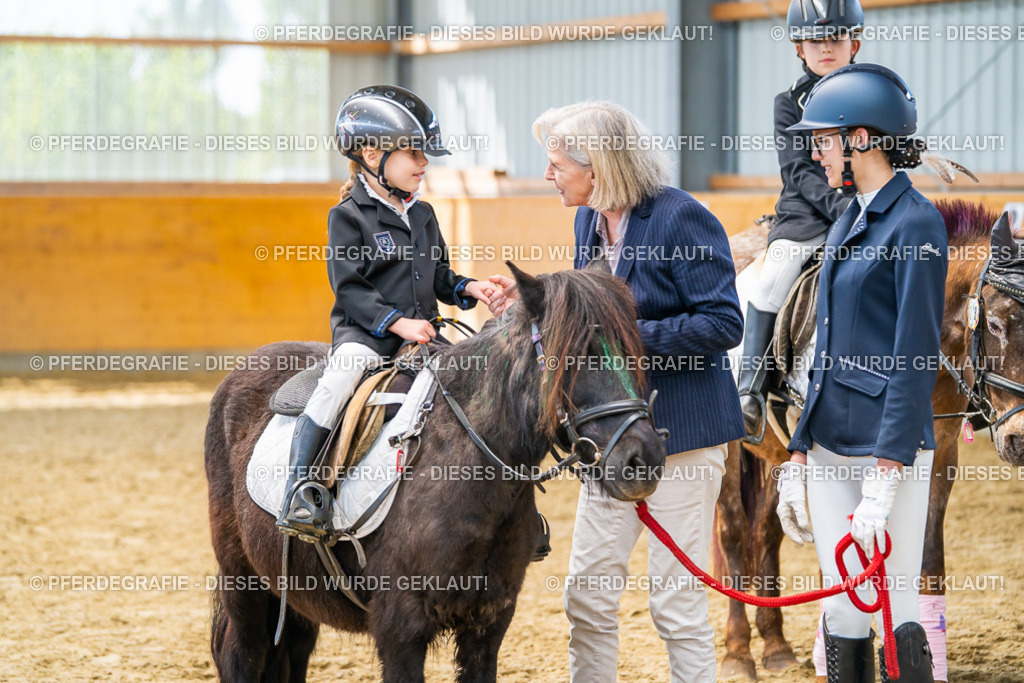 DSC00810 | Pferdegrafie