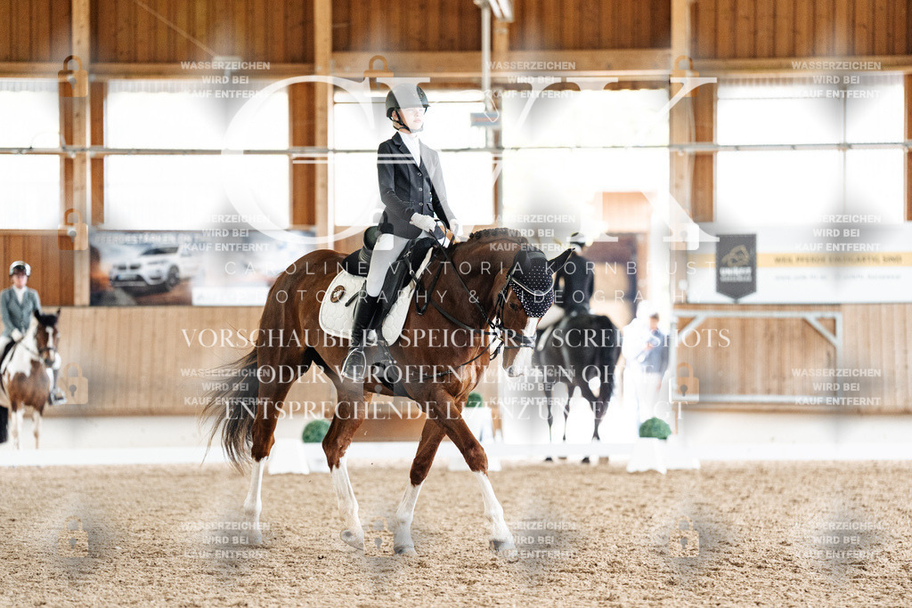 CK900895 | Turnierfotografie Pferdefotografie Trier Rheinland-Pfalz Pferdesport Reitsport Tierfotografie Sportfotografie Pferdevideo Pferdevideografie Equestrianvideography equestrianphotography  - Realisiert mit Pictrs.com