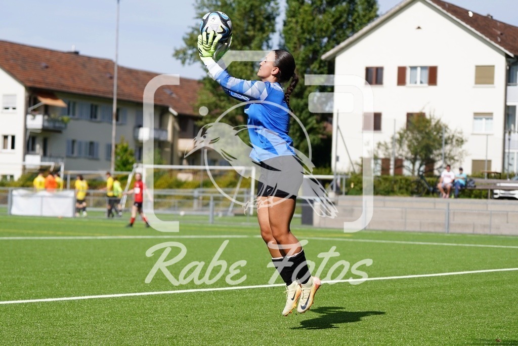 SON09106 | rabefotos