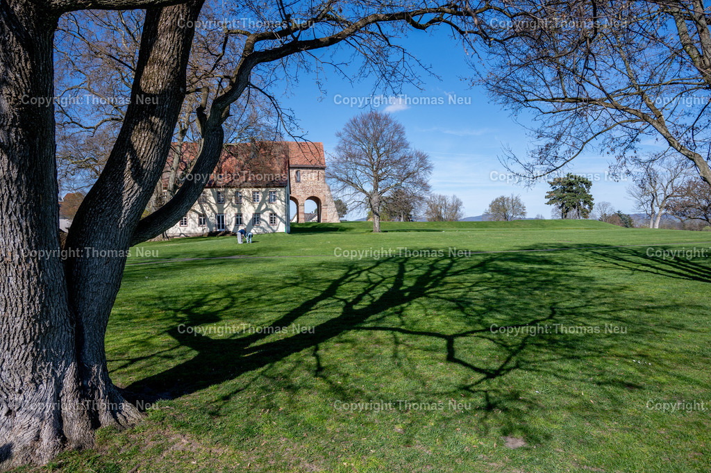 DSC_2159 | ble, Kloster Lorsch, Schattenwurf,Unesco Weltkulturerbe,  , hinte,, Bild: Thomas Neu
