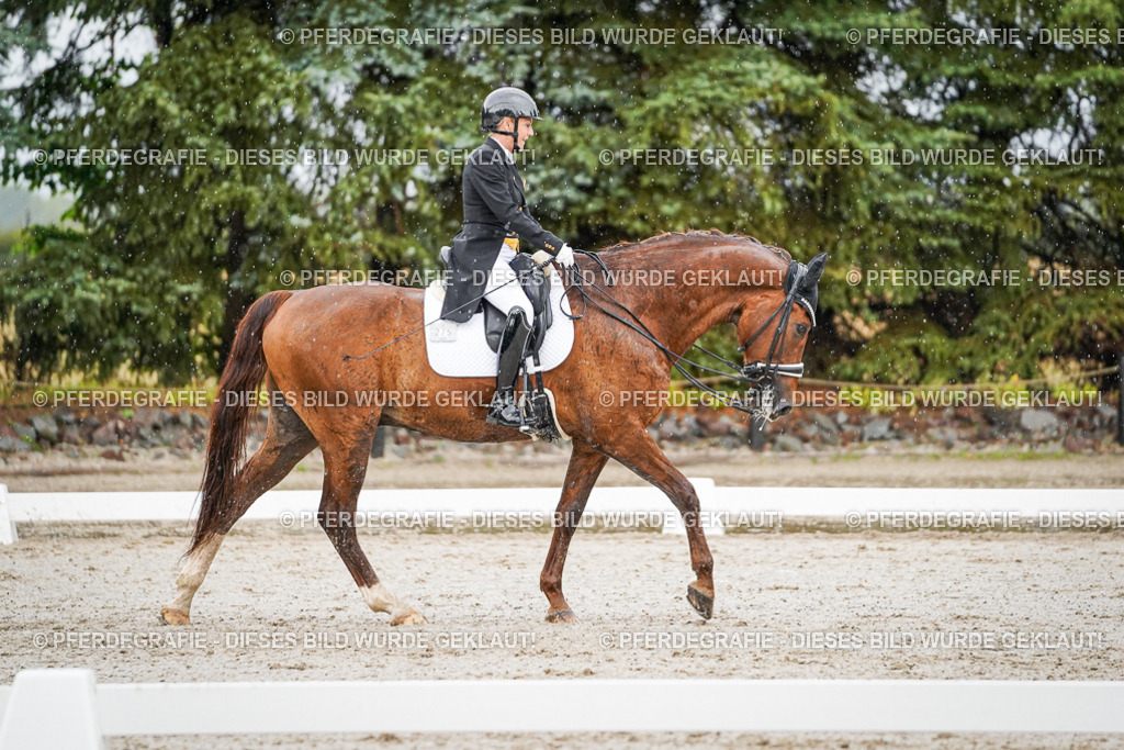 DSC09173 | Pferdegrafie