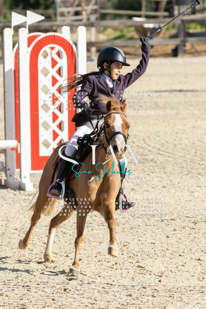 IMG_3491 | s-jay-photography - Realisiert mit Pictrs.com