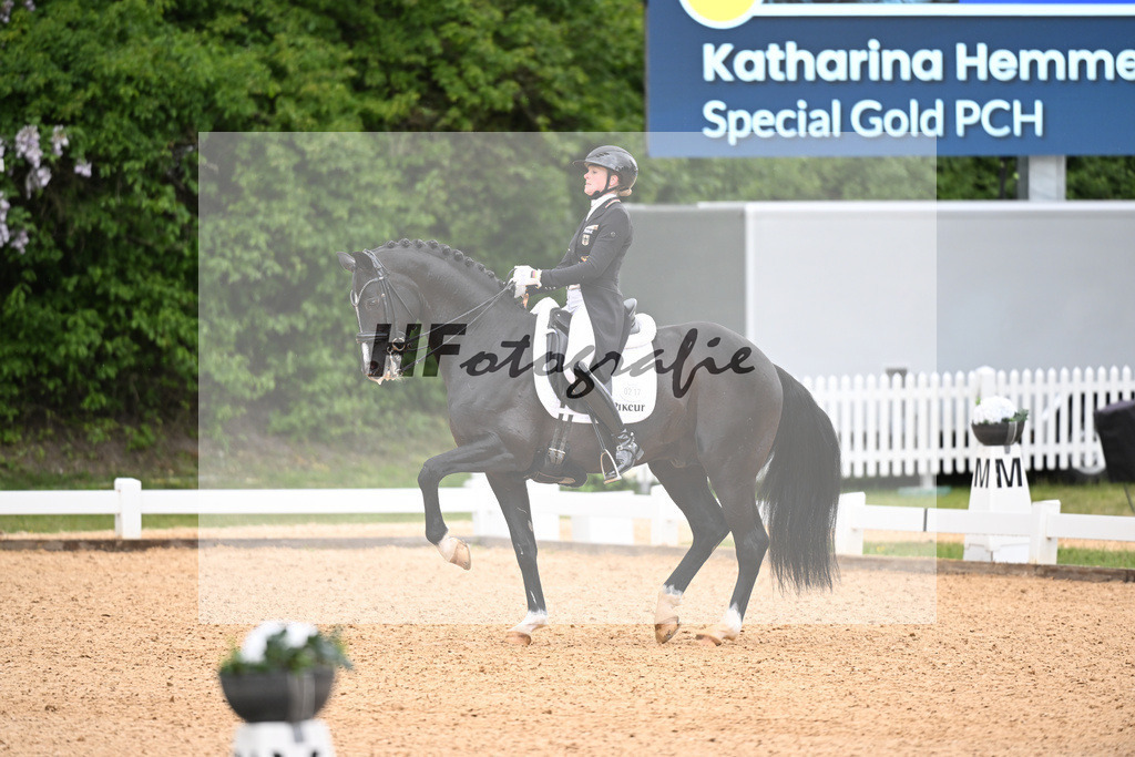 Hemmer_Special Gold PCH_26266255 | hf-fotografie - Realisiert mit Pictrs.com