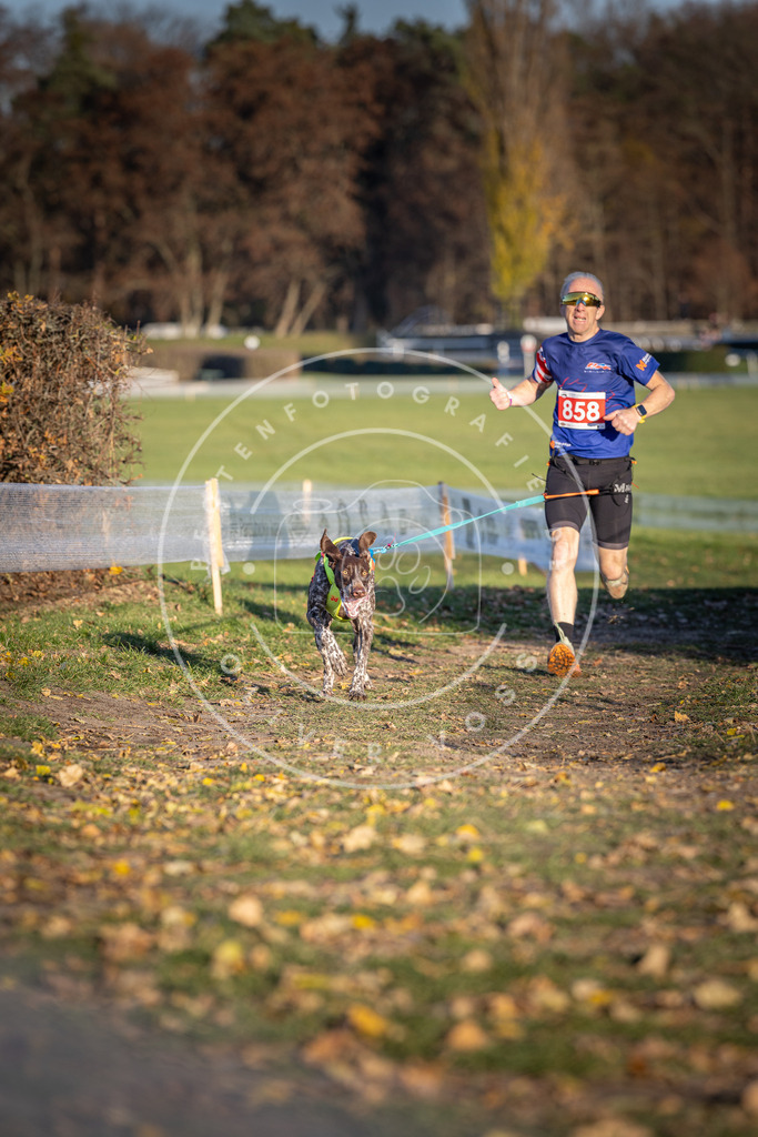 CaniXpix_DV3A3995 | Hundefotografie, Tierfotograf, Pfotenfotografie, Fotoshooting Hund, Hunde Portrait, Hundesport, Hundeportraits, Heideshooting, Hunde, Sportfotograf, Hundefotograf, Turnierhundsport, THS,  - Realisiert mit Pictrs.com
