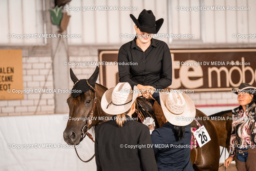 ZH100329 | dv-media-shop - Realisiert mit Pictrs.com