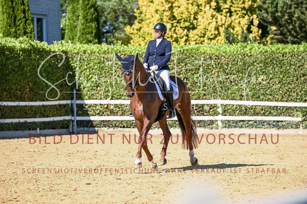 Schugtsche-Aluta25-50.Dressurpferdeprf.L-224 | Schugtsche Fotografie - Realisiert mit Pictrs.com