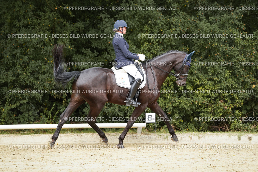 DSC01007 | Pferdegrafie