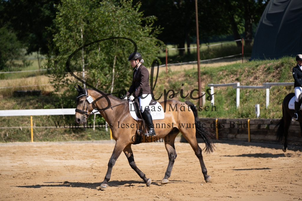 A7V07787 | Pferdefotograf