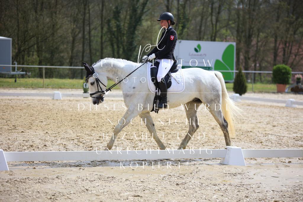 IMGT4872 | pl-fotografie