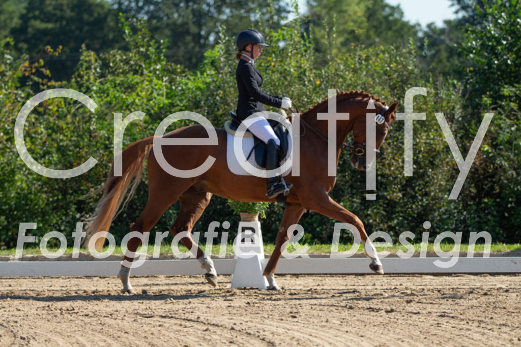 IMG_2846 | Creatify Fotografie