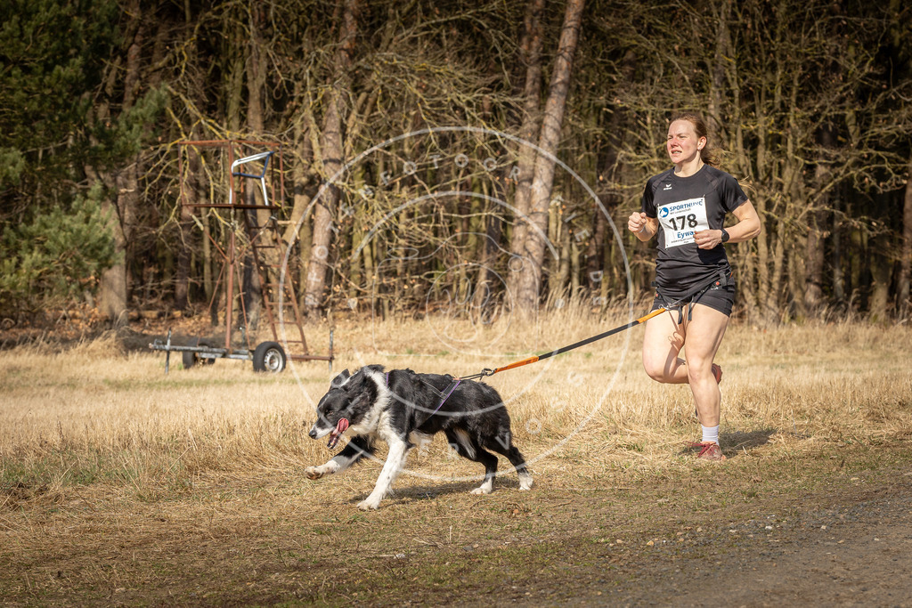 DV3A5722 | Hundefotografie, Tierfotograf, Pfotenfotografie, Fotoshooting Hund, Hunde Portrait, Hundesport, Hundeportraits, Heideshooting, Hunde, Sportfotograf, Hundefotograf, Turnierhundsport, THS,  - Realisiert mit Pictrs.com