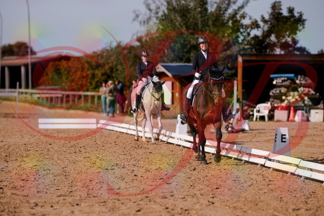 2026_10_03_Siefer-Hof_122834_Z81_27254866 | Professionelle Reitsport-, Turnier- und Eventfotografie von Robert Broda. Galerien mit ausgewählten und bearbeiteten Bildern direkt online ansehen und bestellen.