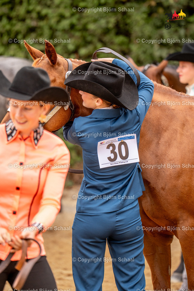 LMS06869 | BS-foto