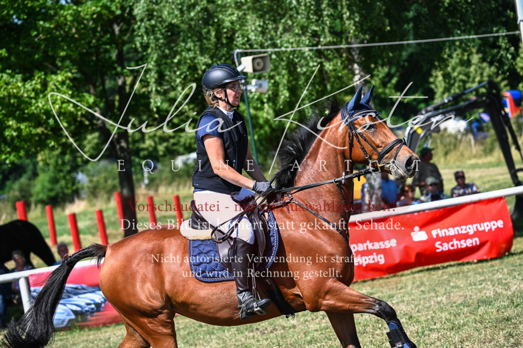DSC_1424 | Pferde- und Turnierfotografie in Westsachsen. Pferdeportraits, Auftragszeichnungen und intuitive Kunst.