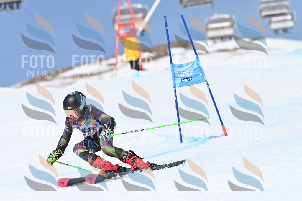 BGV_3270 | holidayphoto