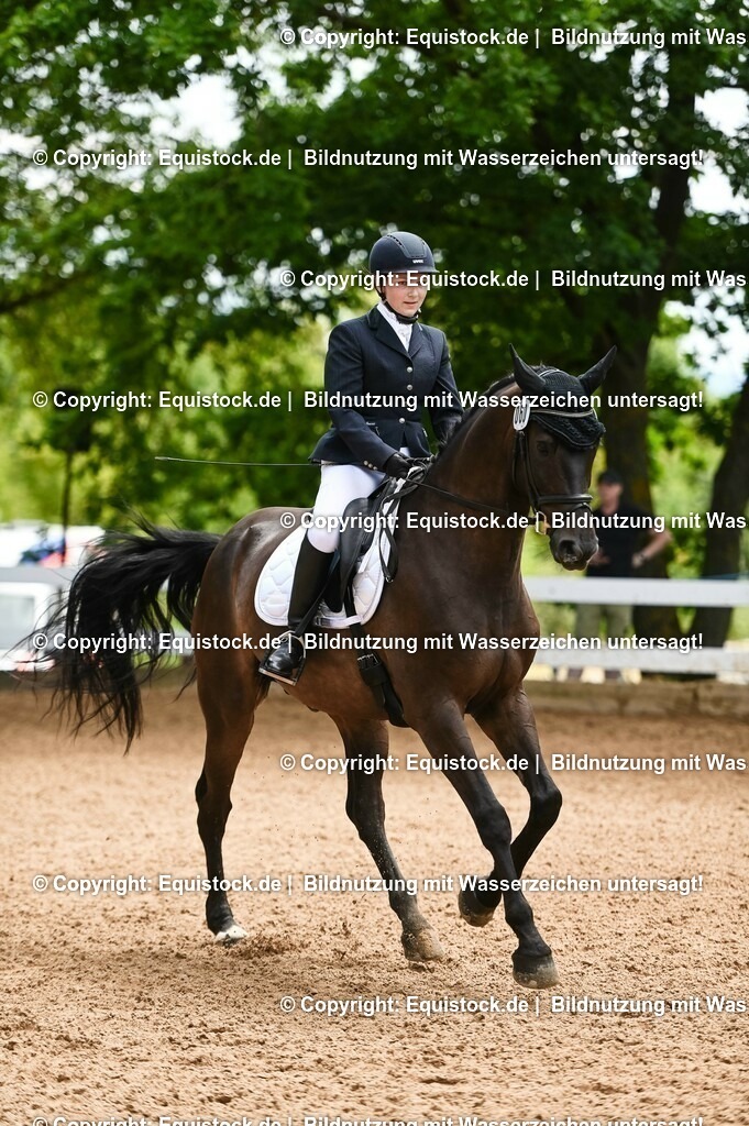 20230716_03_Dressurprfg. Kl.L - Tr._0357 | equistock