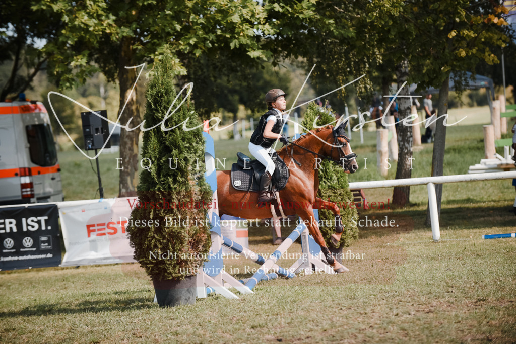 DSC_5230 | Pferde- und Turnierfotografie in Westsachsen. Pferdeportraits, Auftragszeichnungen und intuitive Kunst.