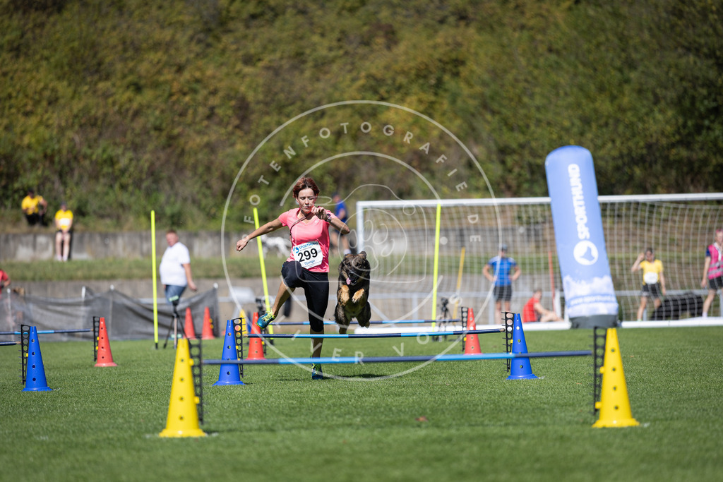 Pfotenfotografie_DV3A7710 | Hundefotografie, Tierfotograf, Pfotenfotografie, Fotoshooting Hund, Hunde Portrait, Hundesport, Hundeportraits, Heideshooting, Hunde, Sportfotograf, Hundefotograf, Turnierhundsport, THS,  - Realisiert mit Pictrs.com