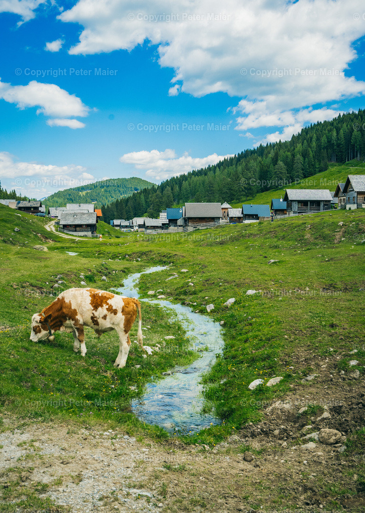 Wandern_Karnische_Milchstrasse_2020-200 | piet_flosse