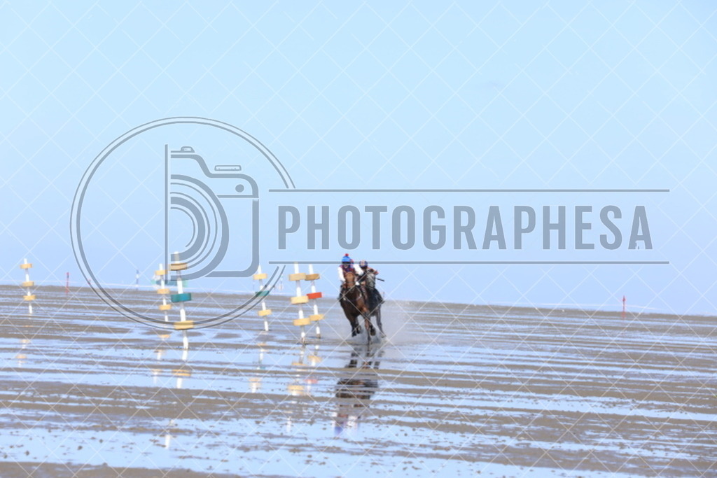 IMG_8891 | photographesa-joergens - Realisiert mit Pictrs.com