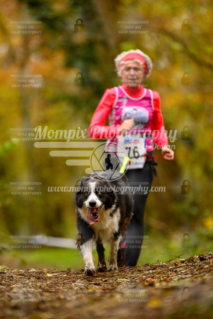 MompixPhotography_Bischwiller24_SA_Canicross-139 | PayLife
