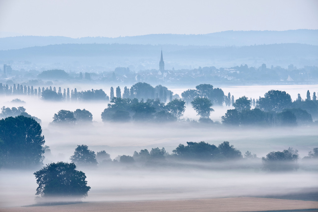 Das Radolfzeller Aachried II | Das Radolfzeller Aachried ist bekannt für die stimmungsvollen Nebelfelder, die sich je nach Wetterlage früh Morgens vor und während des Sonnenaufganges bilden. - Realisiert mit Pictrs.com