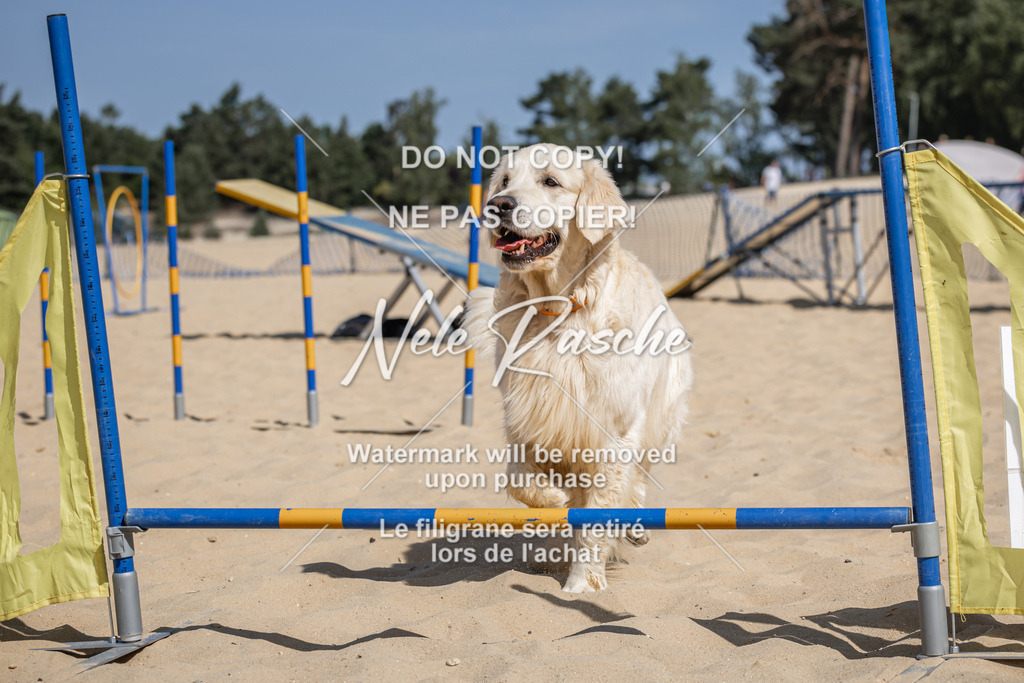 nelerasche_saBeachility_514 | nelerasche