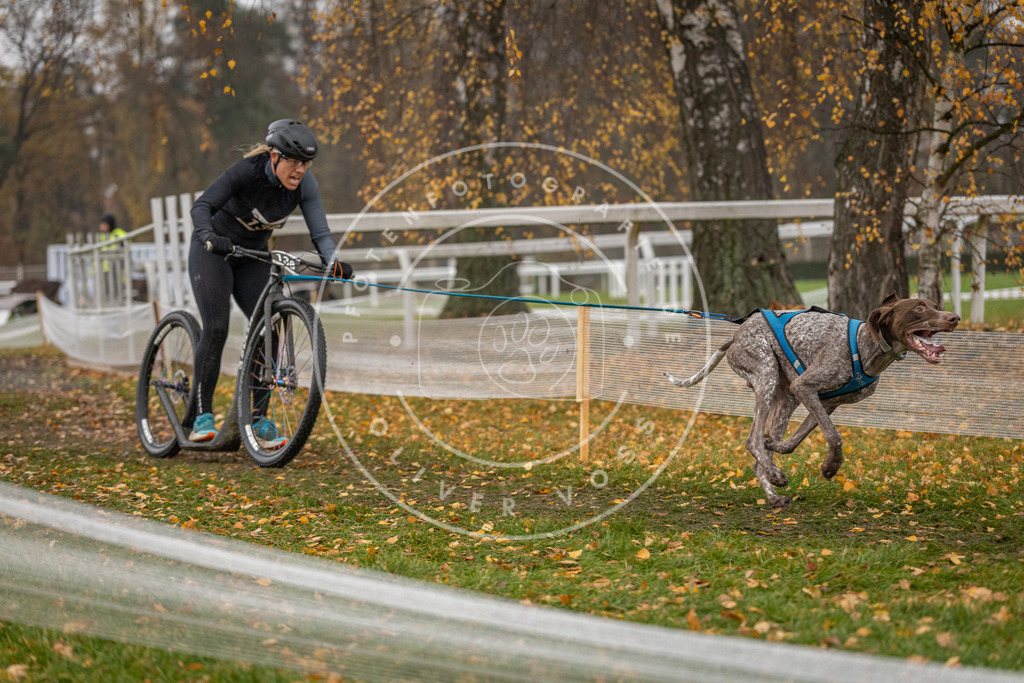CaniXpix_DV3A7629 | Hundefotografie, Tierfotograf, Pfotenfotografie, Fotoshooting Hund, Hunde Portrait, Hundesport, Hundeportraits, Heideshooting, Hunde, Sportfotograf, Hundefotograf, Turnierhundsport, THS,  - Realisiert mit Pictrs.com