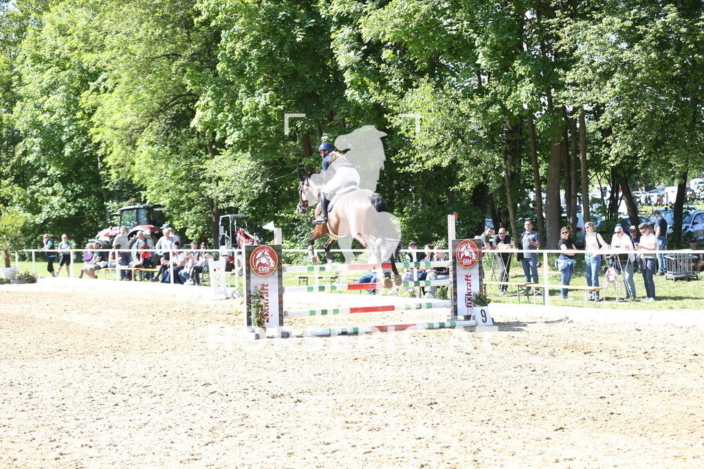 DL2Q2347 | Willkommen bei Brunnmayr - Design & Fotografie – Ihrem Spezialisten für Reitturniere und Pferdeveranstaltungen in Oberösterreich, Salzburg und Bayern! Seit über 17 Jahren sind wir leidenschaftlich dabei.