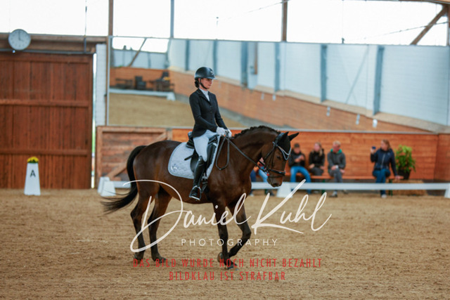 _62_5537 | Turniersportfotografie; Pferdefotografie; Dressurfotografie