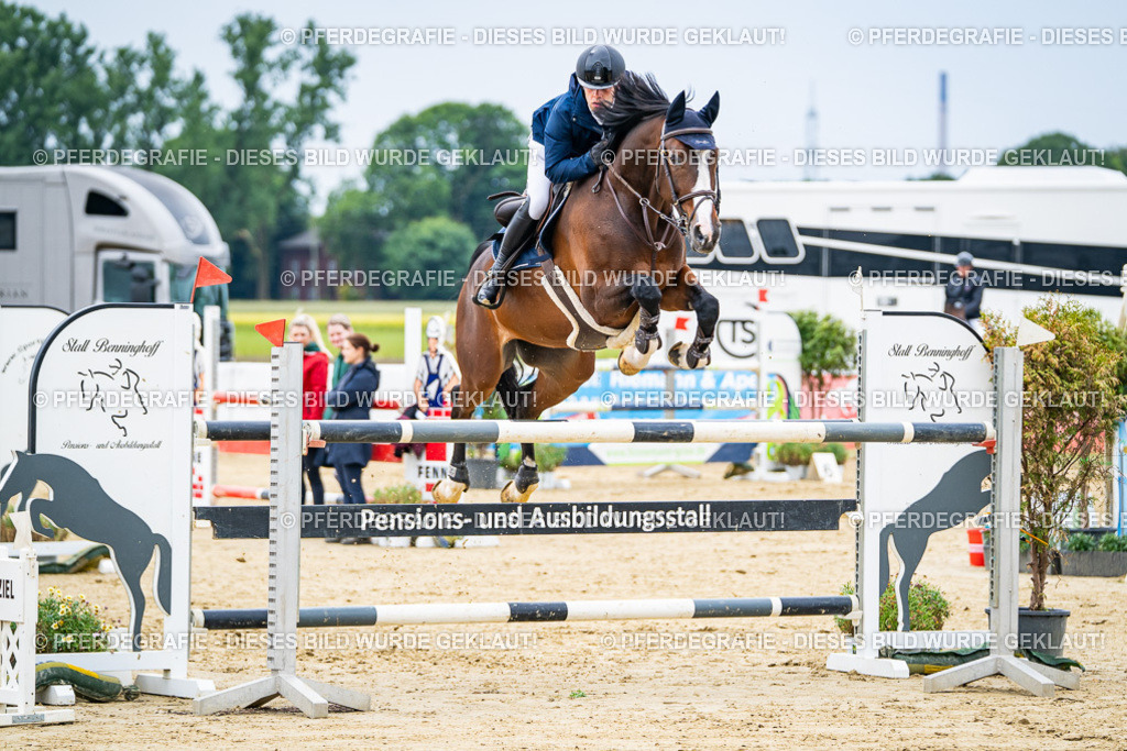 DSC06688 | Pferdegrafie