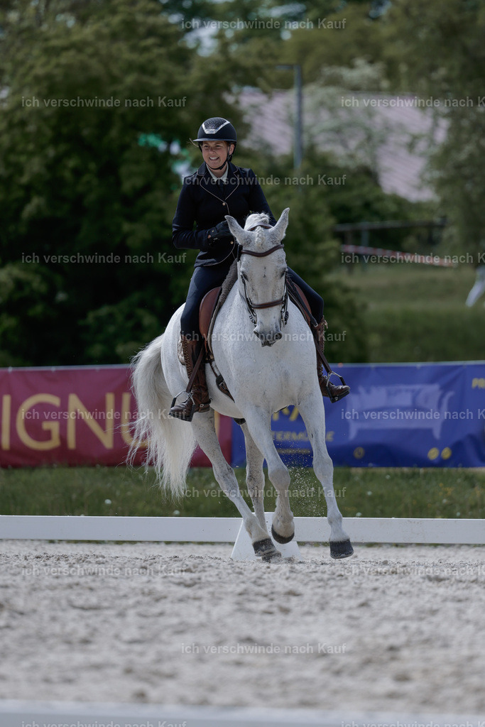 PI26_DR_246_Stoibphotography__AM10081.jpg | working equitationturnier fotograf videograf stoibphotography marixx film working equitation deutschland reitsport turnierfotografie eventfotografie equestrian events