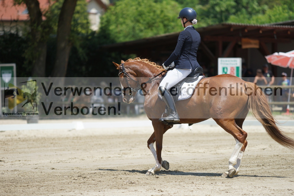 DSC04907 | equestrian-live-com