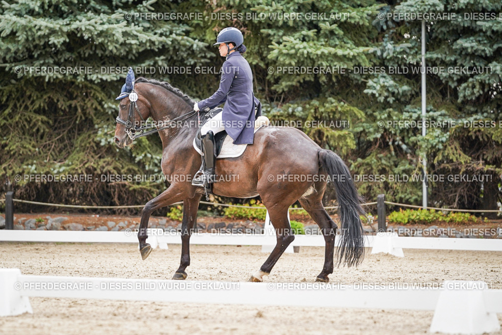 DSC07703 | Pferdegrafie