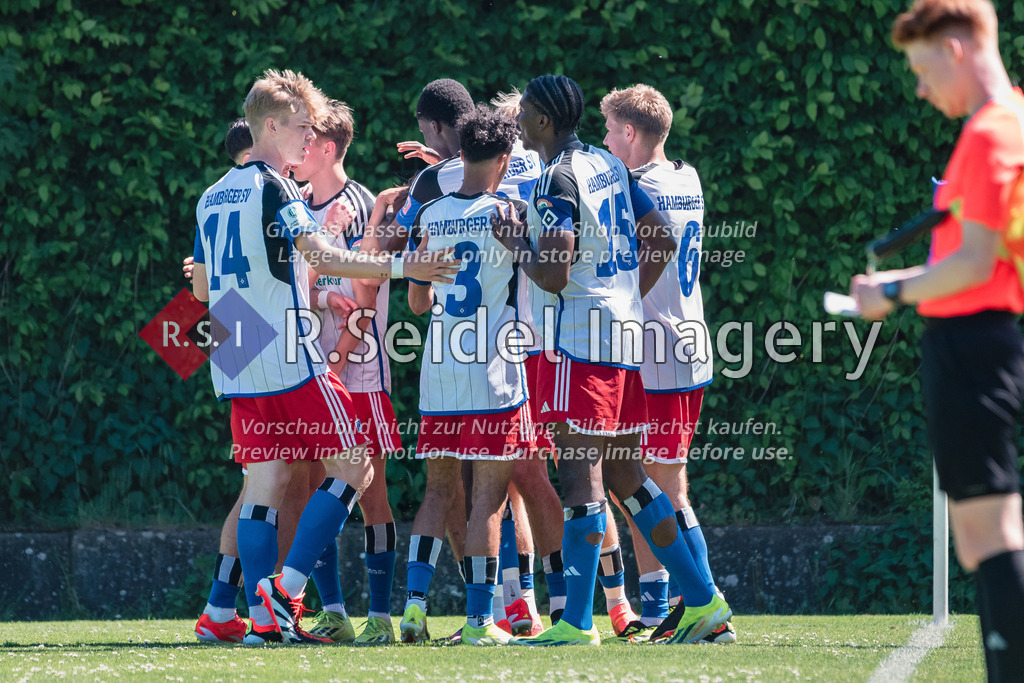 RS-1-047455 | Nach dem 3:0 jubeln die HSV-Spieler.