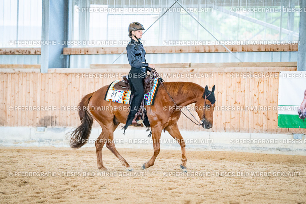 DSC02603 | Pferdegrafie