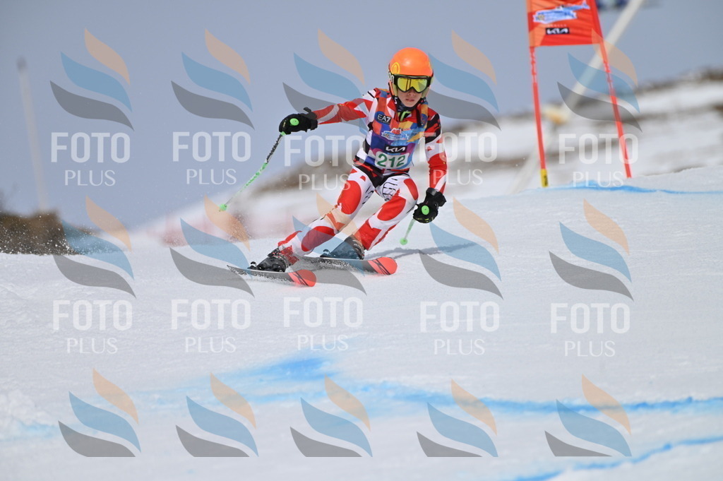 BGV_4104 | holidayphoto