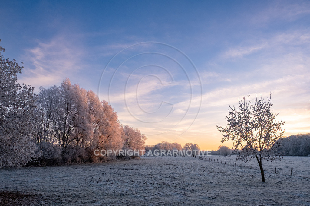 20221218-_DSF2436 | Schneebedeckte Landschaft bei eisiger Kälte - Realisiert mit Pictrs.com