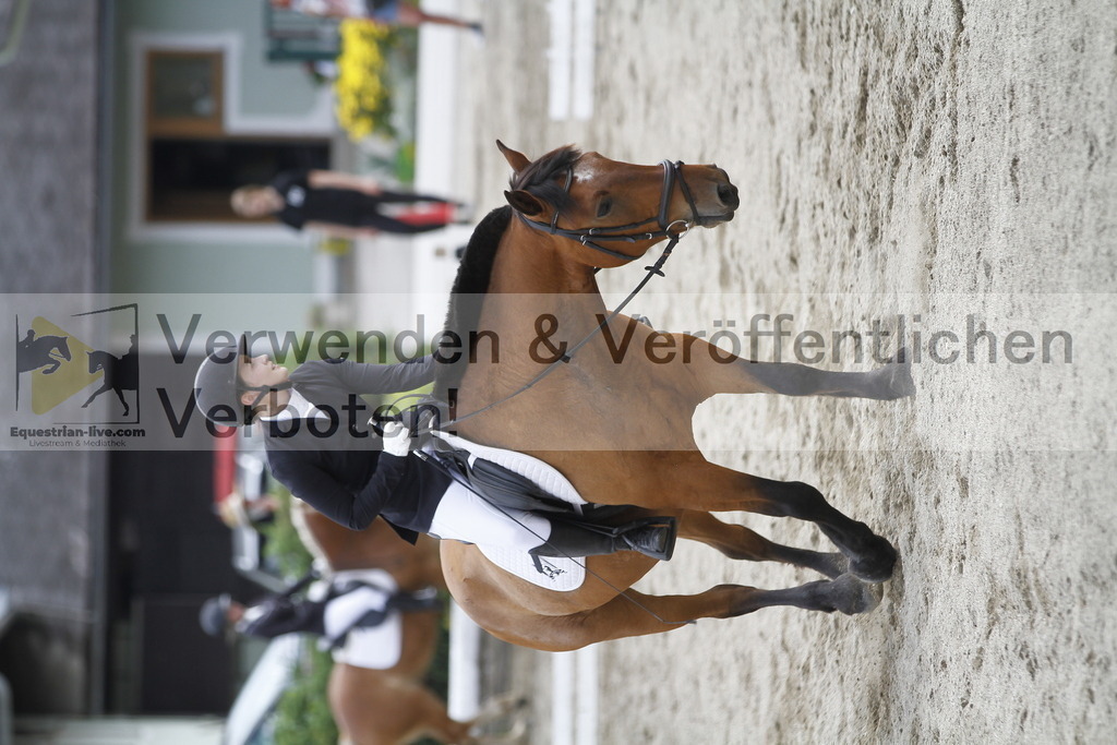 _MG_1079 | equestrian-live-com