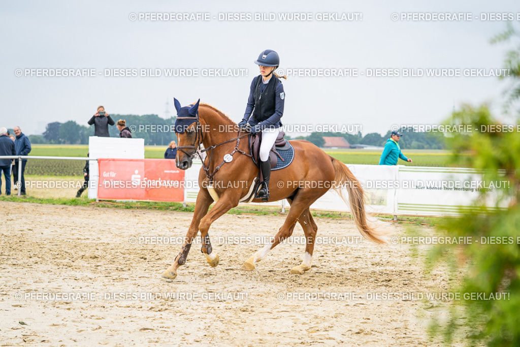 DSC00407 | Pferdegrafie