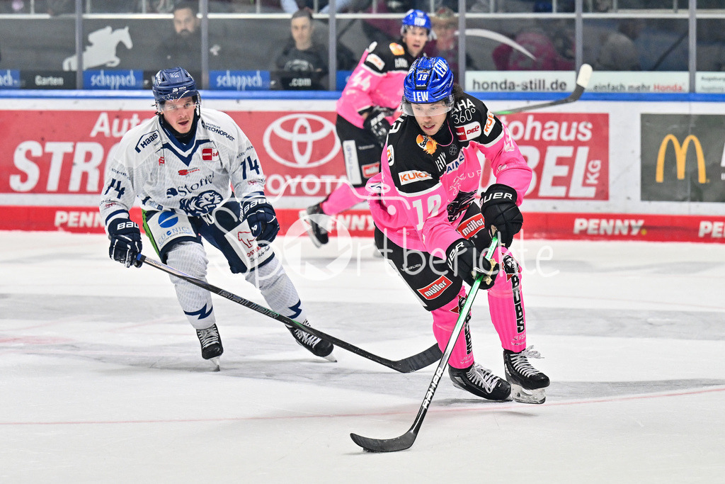 Augsburger Panther - Straubing Tigers | im Duell Travis St. DENIS (Straubing Tigers #74) und Riley DAMIANI (Augsburger Panther #19) / Zweikampf / DEL: Augsburger Panther - Straubing Tigers, Curt Frenzel Stadiom am 20.10.2024