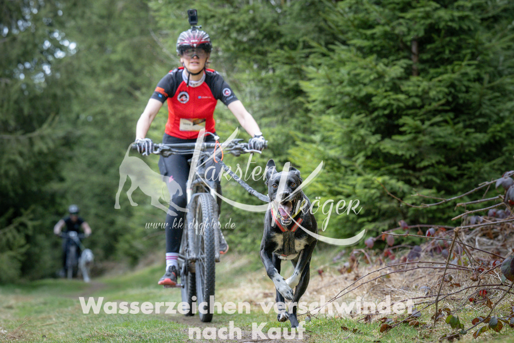 1311_ZZ93895 | kk-dogfotos
