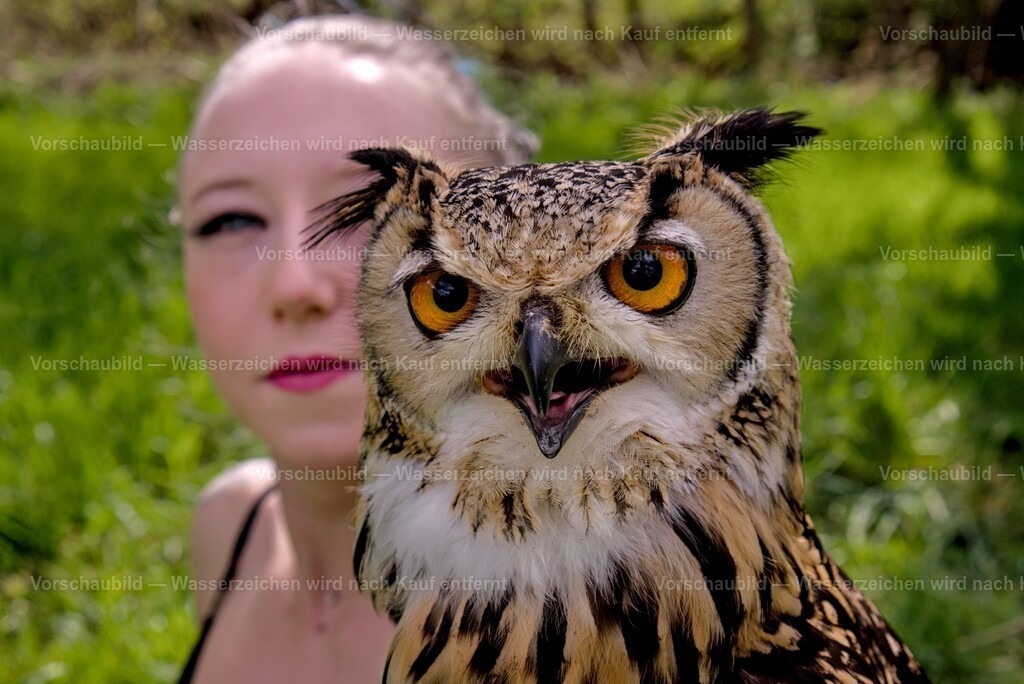 Greifvogel | Martin Fiedler Fotografie - Ausdrucksstarke Portraits im Raum Nürnberg - Realisiert mit Pictrs.com