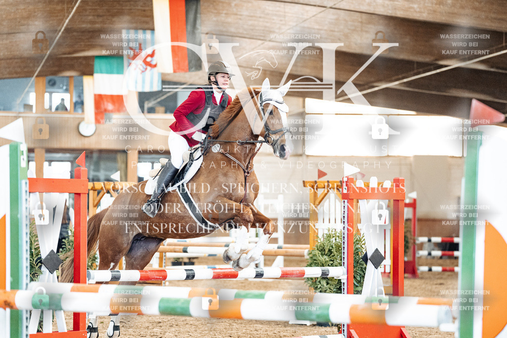 CK904981 | Turnierfotografie Pferdefotografie Trier Rheinland-Pfalz Pferdesport Reitsport Tierfotografie Sportfotografie Pferdevideo Pferdevideografie Equestrianvideography equestrianphotography  - Realized with Pictrs.com